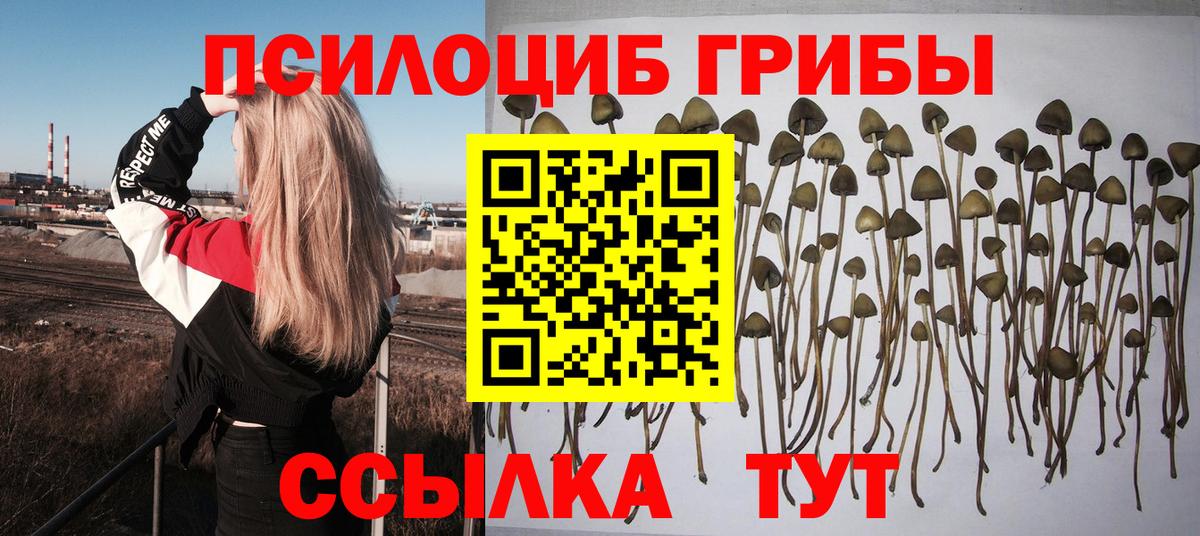 Верхняя Салда  Галлюциногенные грибы мицелий  Вход с VPN 